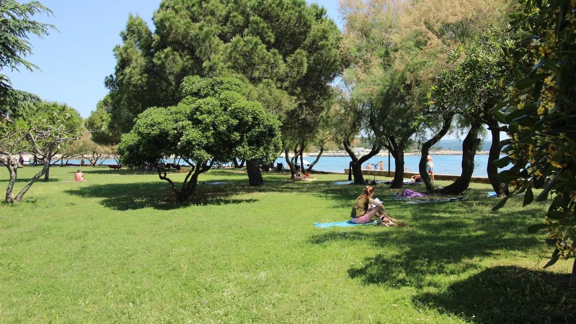 Apartment Rosetta Few Meters From The Beach Novigrad  Croatia