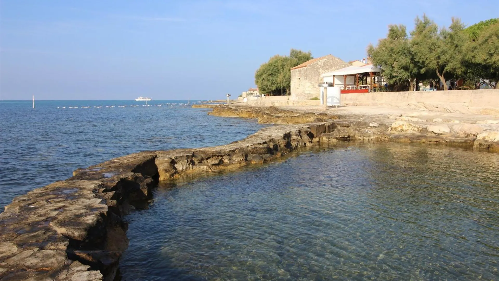 Rosetta Few Meters From The Beach Novigrad  Novigrad (Istria)